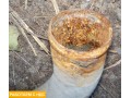 Патрубок